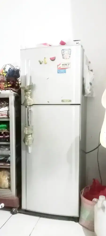 Kulkas 2 Pintu Merek TOSHIBA CLACIO