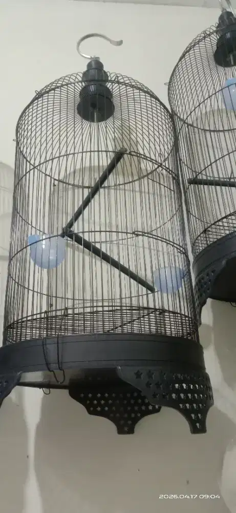 kandang lb model badman baru