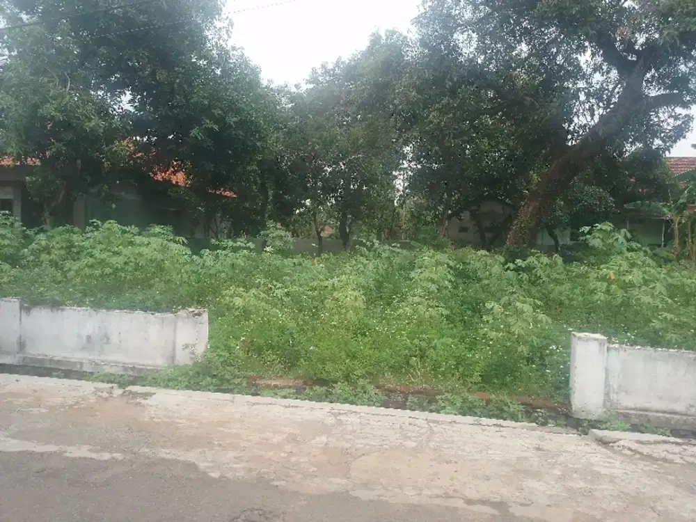 DIJUAL TANAH LOK STRATEGIS DKT JLN RAYA & POLSEK GONDANG MOJOKERTO