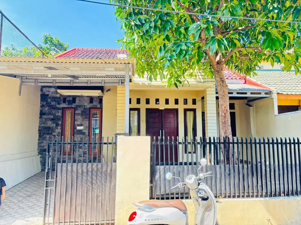 Disewakan rumah (tahunan)