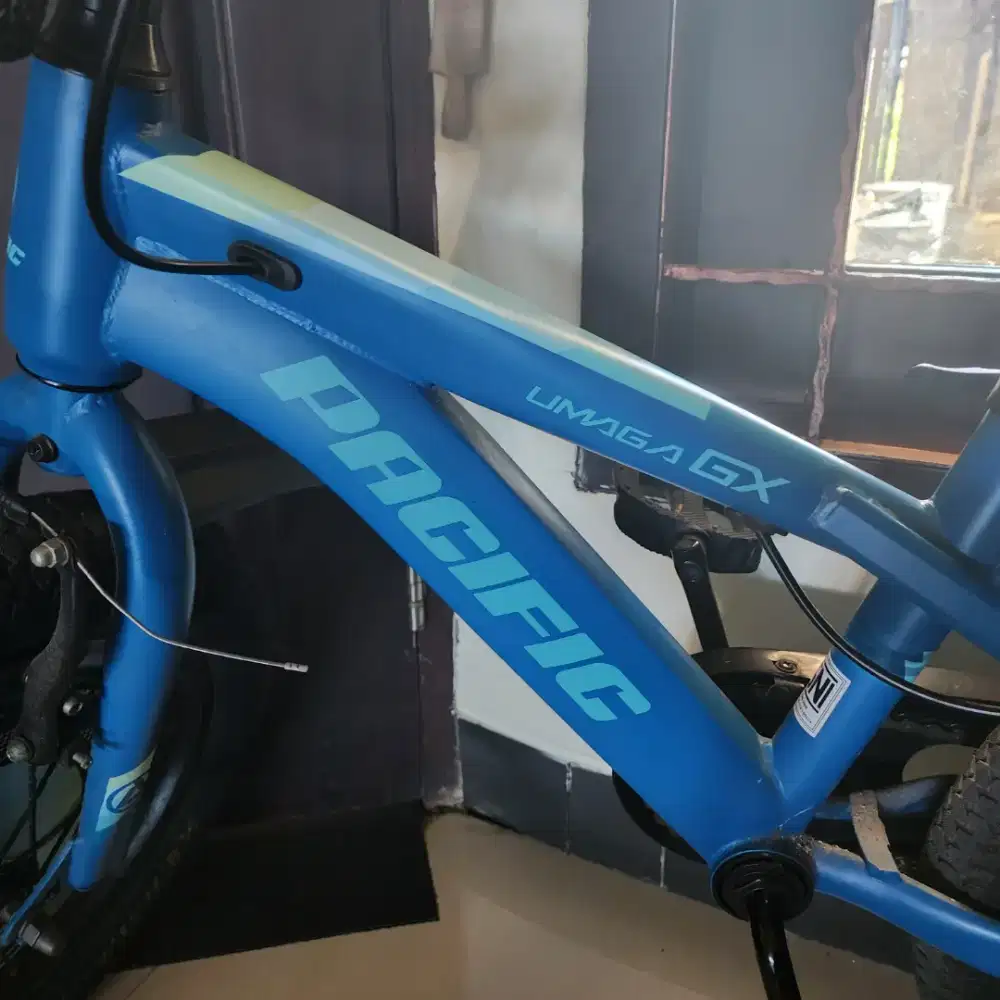 Sepeda anak Pacific umaga gx 12