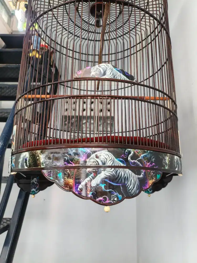 Sangkar Murai Batu soloan