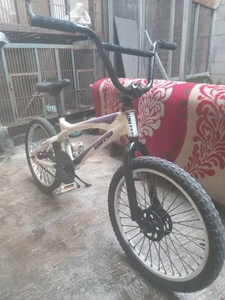 BMX 20 UNITED JUMPER X TORPEDO