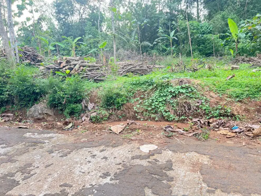 Tanah Super Datar & Murah Hanya 350 Juta Mojogedang, Karanganyar