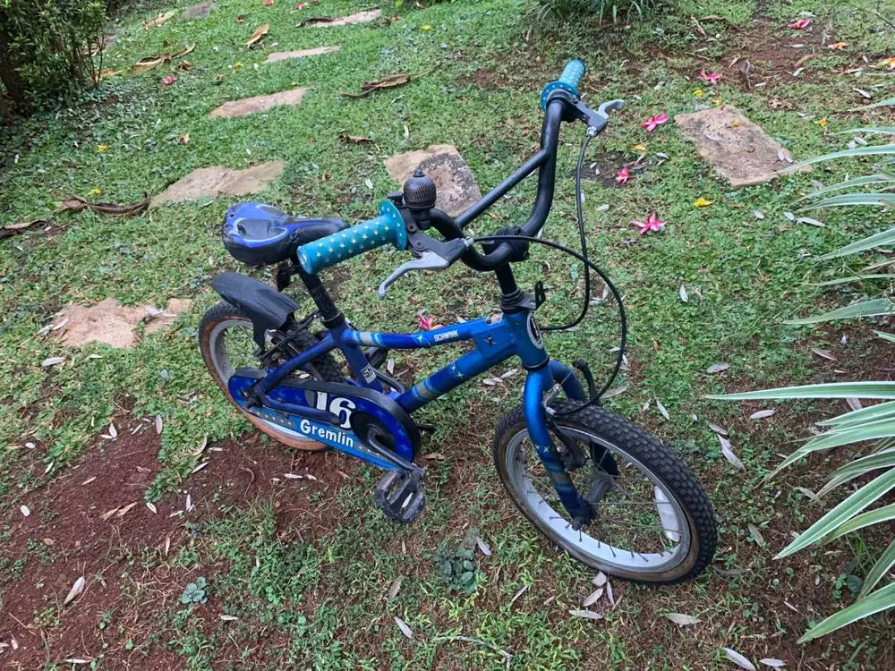 Sepeda Anak Schwinn Gremlin 16