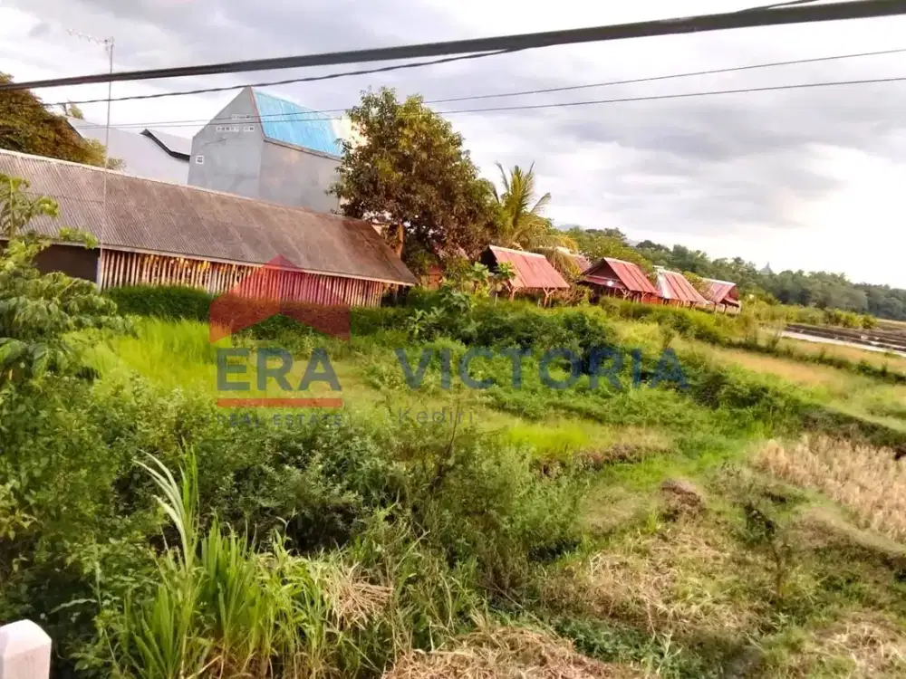 Tanah di Damarwulan Kandangan Jalan Provinsi