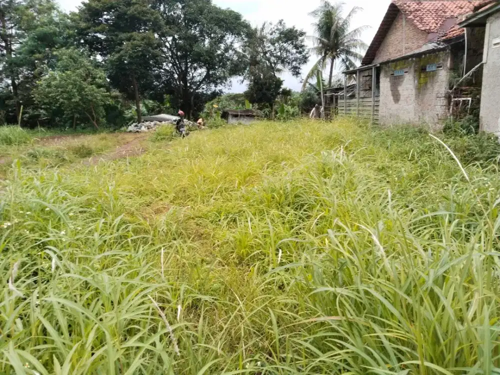 Dijual tanah murah 2,2 jt nego permeter luas 1000 meter