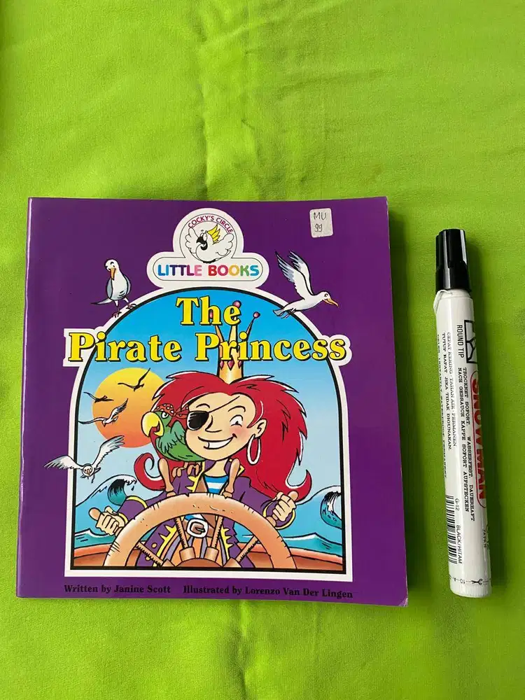 CHILDREN BOOK - THE PIRATE PRINCESS – LITTLE BOOKS - PRELOVED LIKE NEW