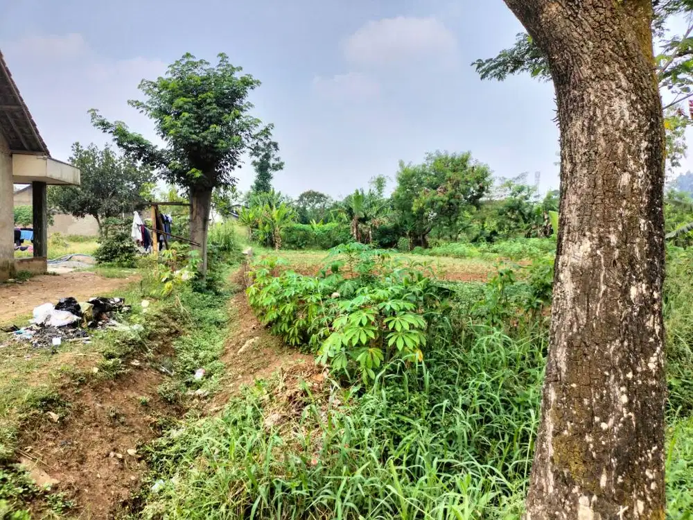 Dijual Tanah di Ciodeng Bojongmalaka Baleendah