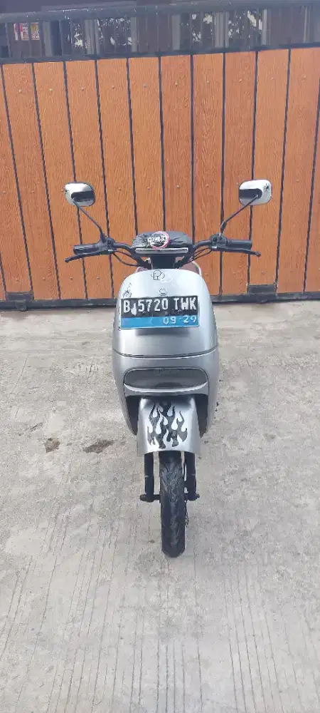 Molis EXOTIC STERRATO 2024 ss lengkap pajak panjang panjang