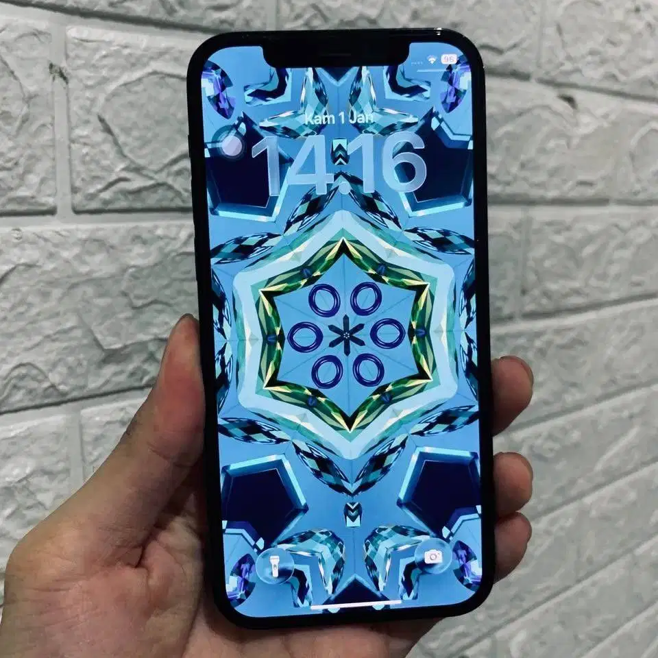 IPhone 12 Pro Max 256GB All operator