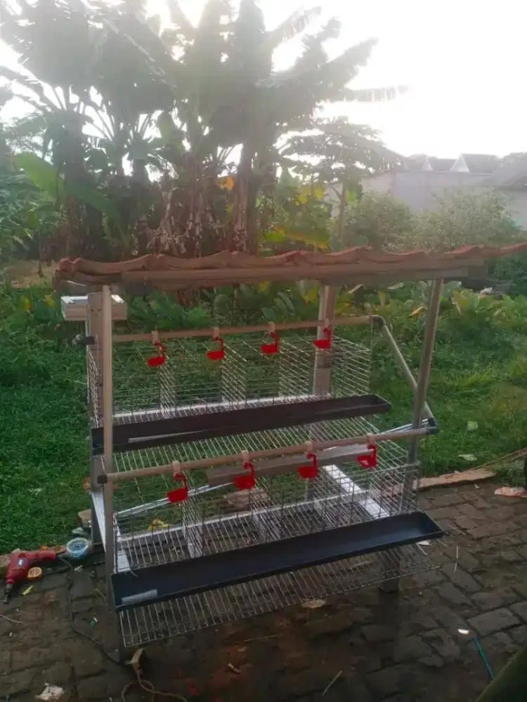 Paket ternak skala rumahan