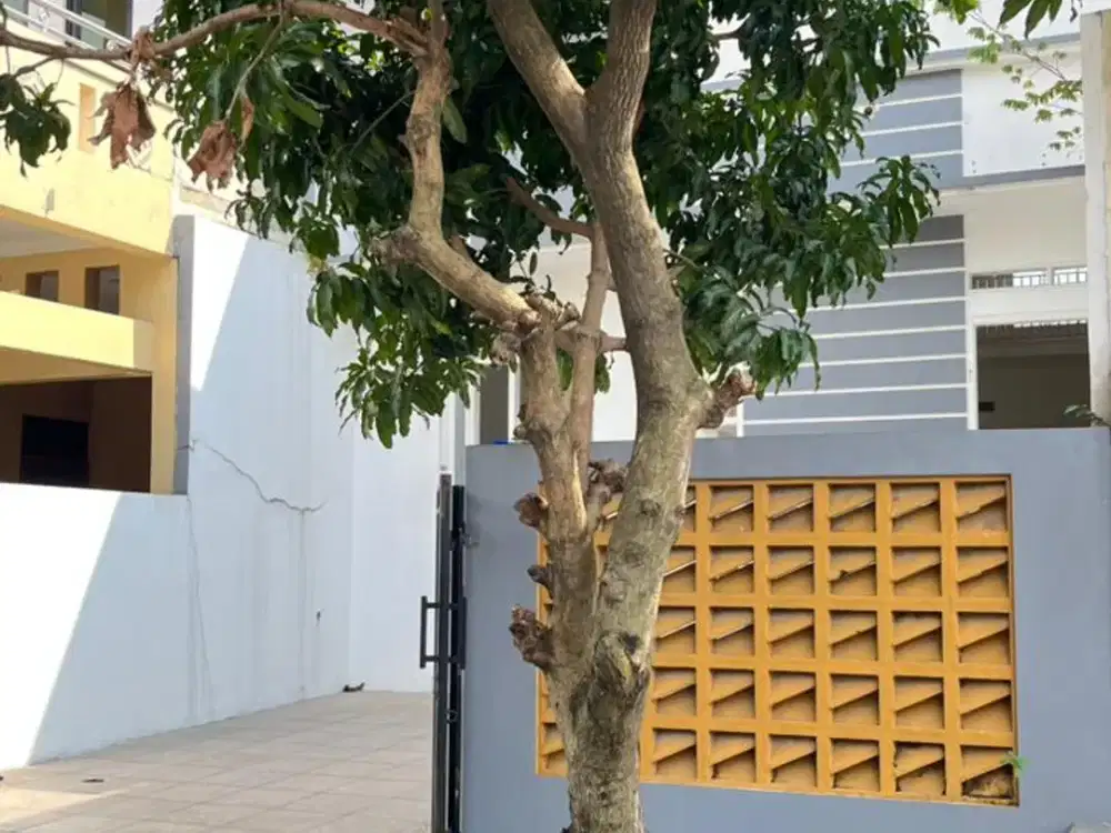 Rumah Siap Huni di Lokasi Strategis Dekat Sekolah, Rumah Sakit, dan Mall