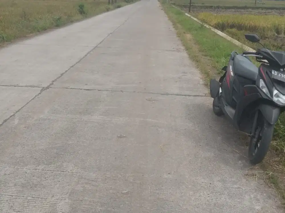 Dijual Sawah Di Kebak Kebakkramat Karanganyar