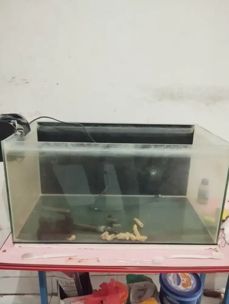 Aquarium ukuran 60x30x30 bonus filter gantung