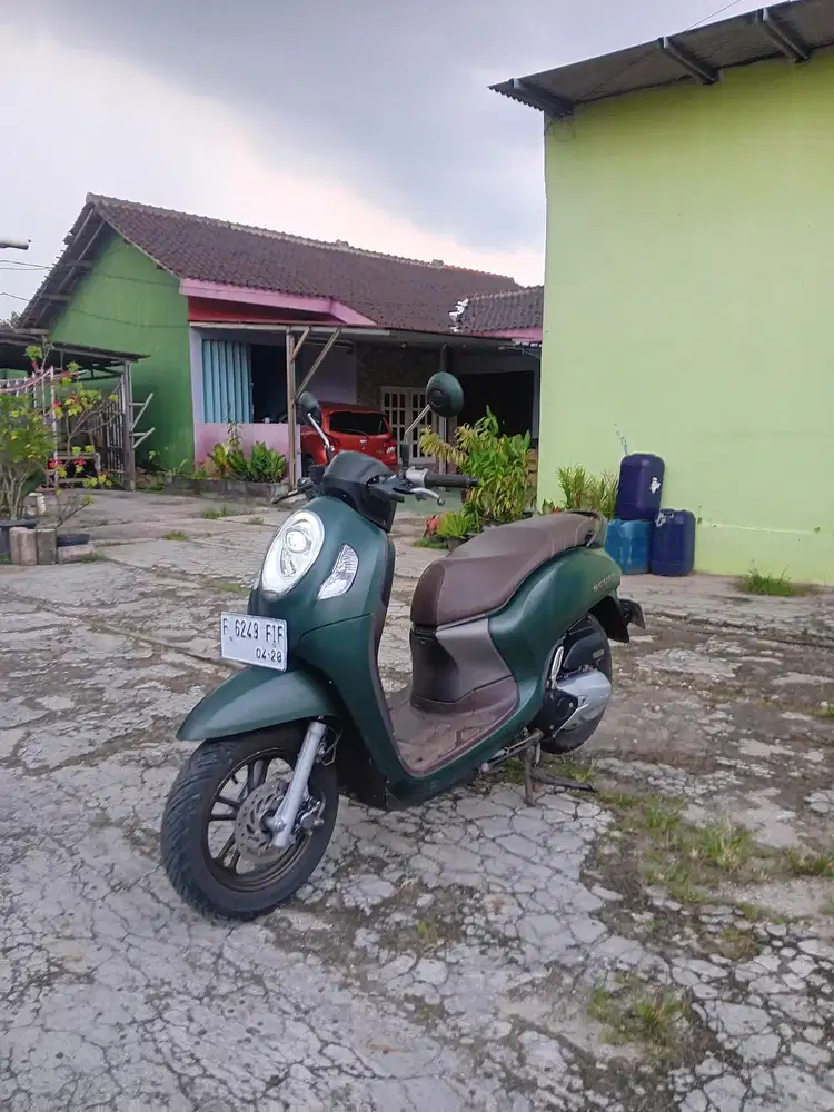 •Honda Scoopy Prestige