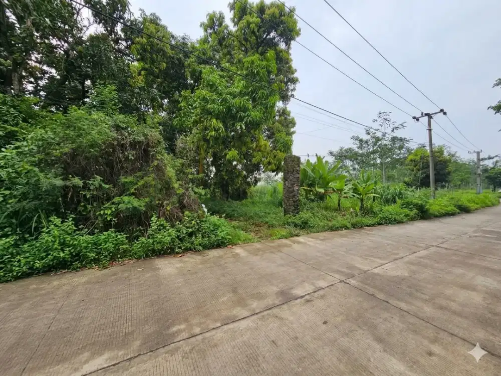 JUAL 19 HEKTAR LAHAN PRODUKTIF BONUS VILLA DI KAB. MOJOKERTO