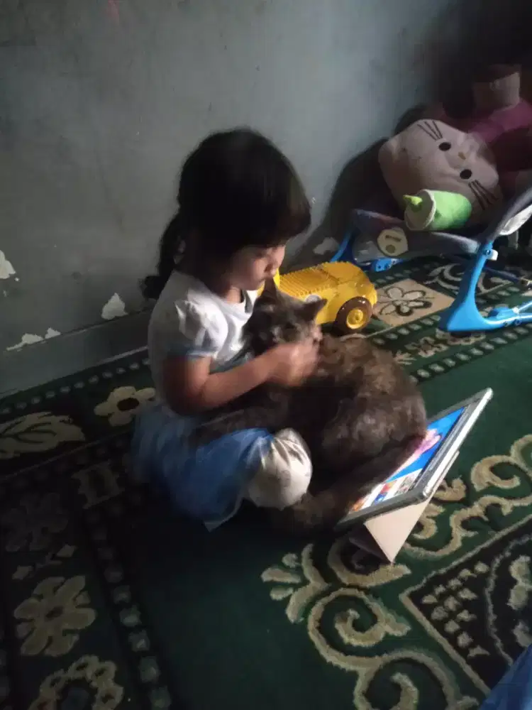 Cari lowongan kerja yg boleh bawa anak