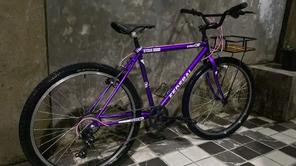 Sepeda Commuter Custom