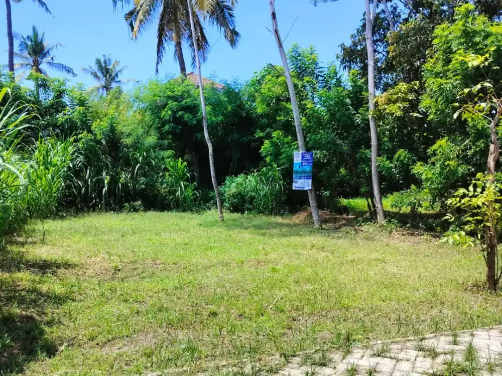 TANAH KAVLING PREMIUM, SHM, POSISI HOOK – BULUSAN, KALIPURO BANYUWANGI