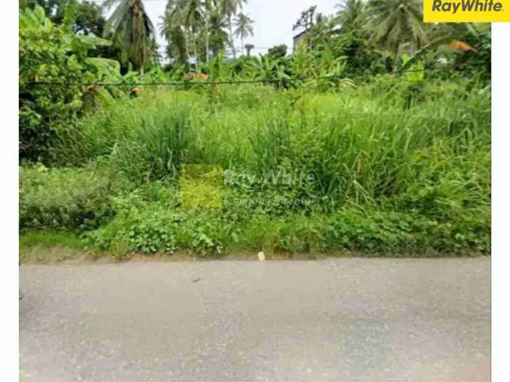 rumah pinggir jalan mutun way ratai