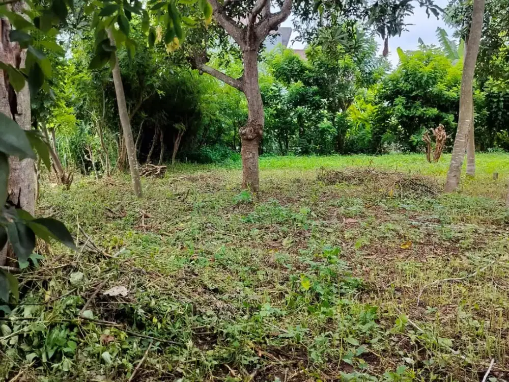 TANAH KAVLING SHM SIAP BANGUN – BULUSAN, KALIPURO