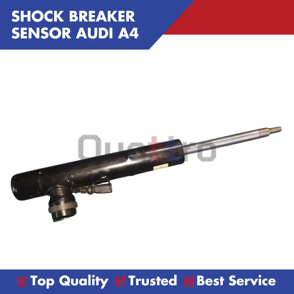 Shockbreaker Sensor Audi A4