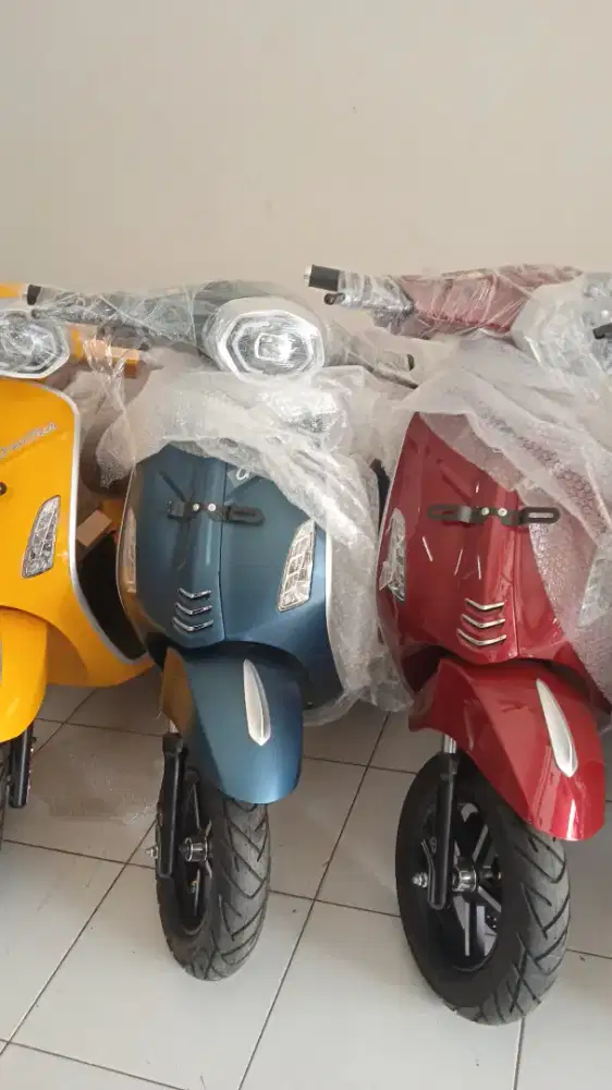 BAGUS SEPEDA LISTRIK