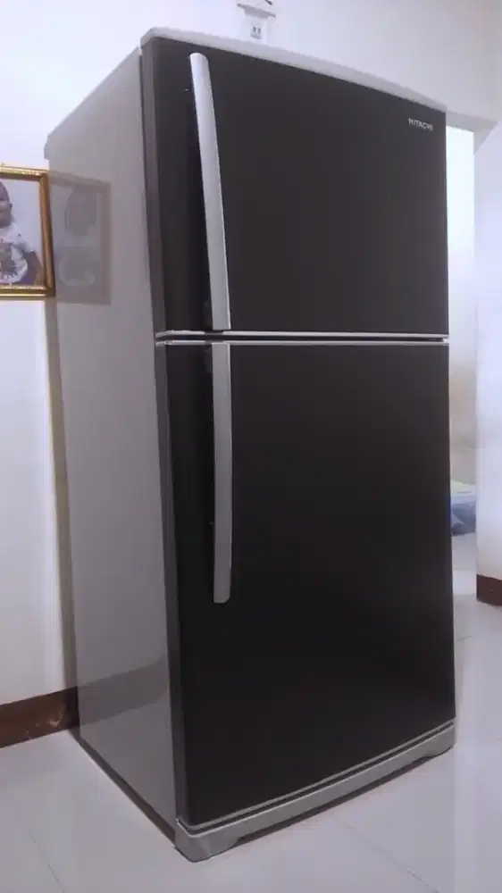 Kulkas jumbo 600 liter sgt normal ORI