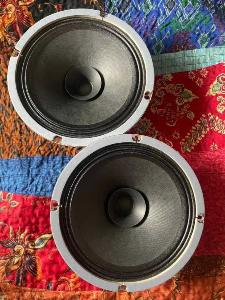 Speaker full range 8 inch