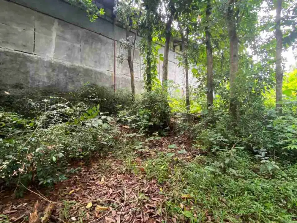 Jual Tanah di Gunung pati