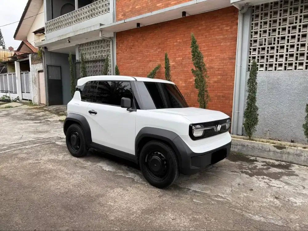 Vinfast VF3 EV listrik matic 2025 Baterai Hak milik