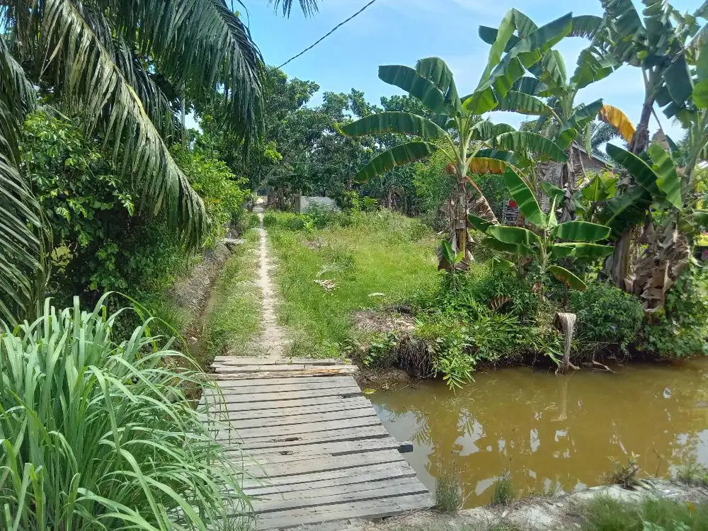 Tanah Murah Untuk Investasi 0,4Ha JL Paluh Merbau (Area PERCUTSEITUAN)