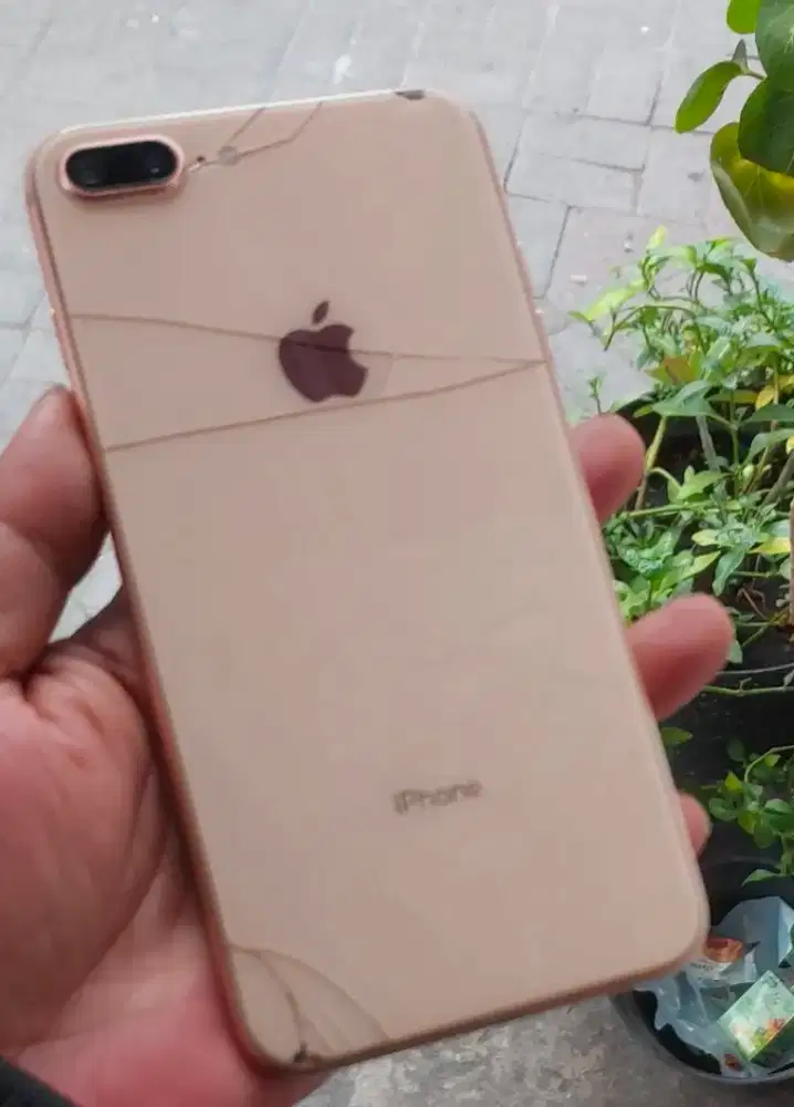 Iphone 8plus 64gb sinyal permanen (bisa tt hp