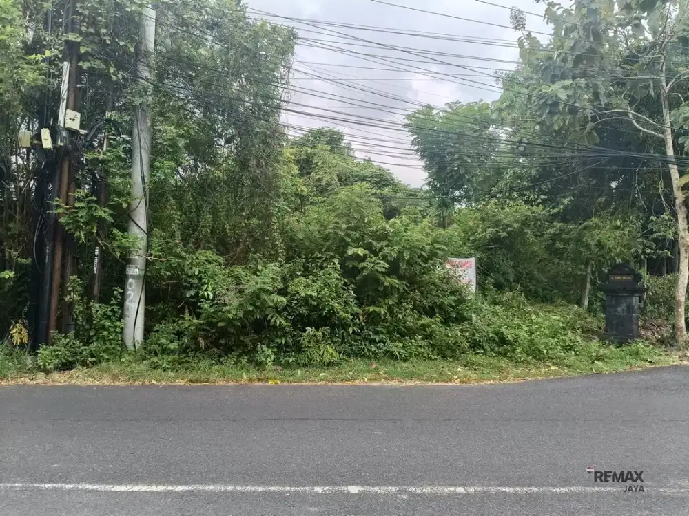 Tanah Cantik 9 Are di Pinggir Jalan Utama Dijual, di Jimbaran Area