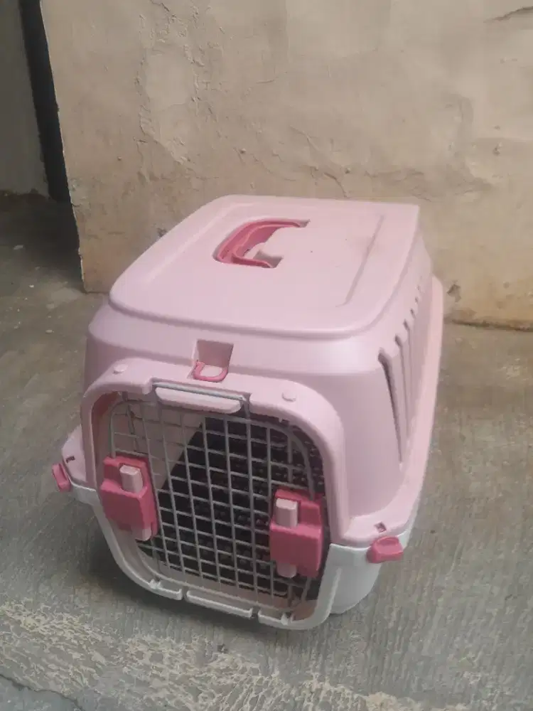 Pet cargo kucing dan anjing