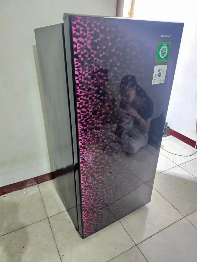 kulkas 1 pintu sharp
