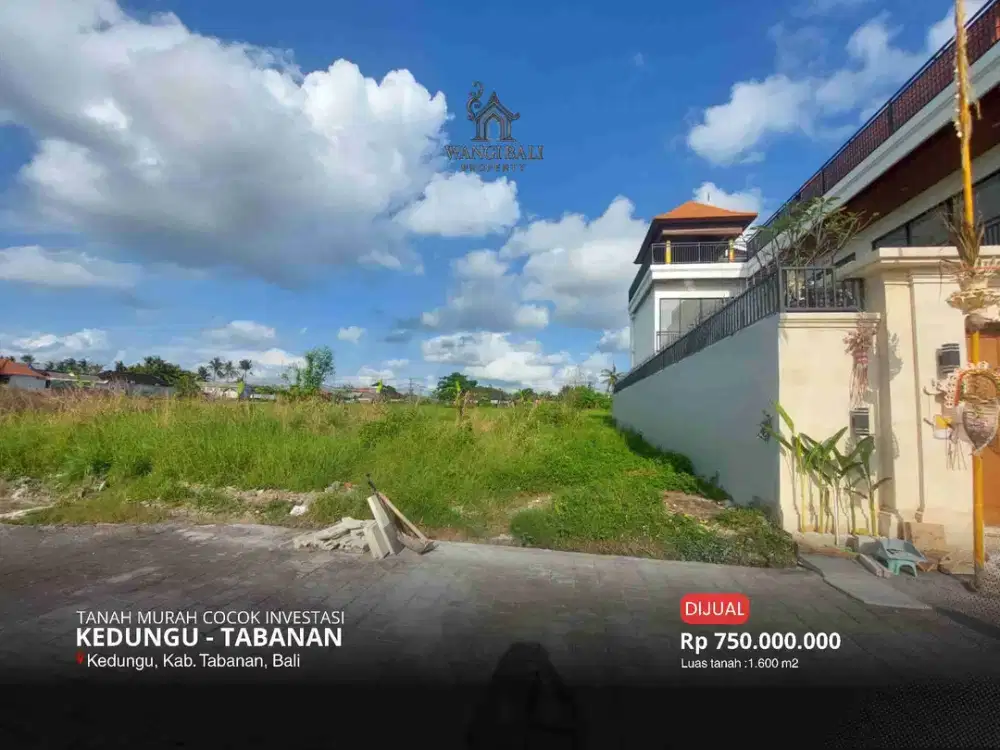 TANAH MURAH DIJUAL COCOK INVESTASI - KEDUNGU TABANAN