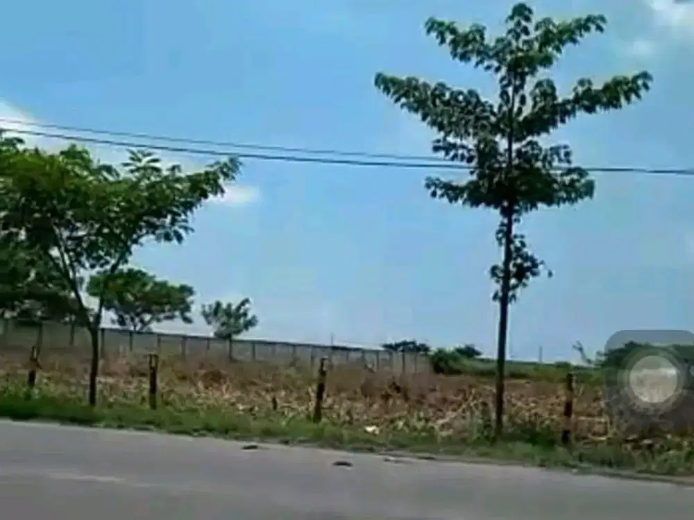 DIJUAL TANAH NASIONAL MRUTUK UTARA WIDANG TUBAN RON.A2092