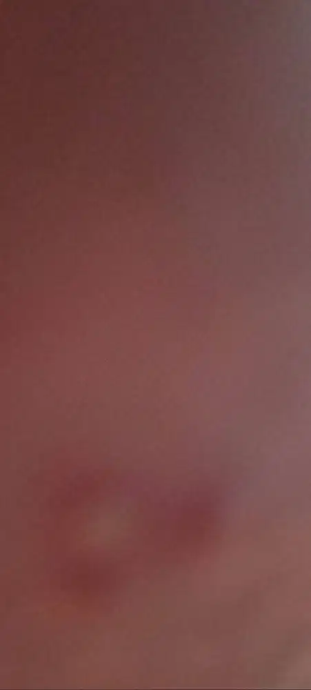 DIBUTUHKAN: FREELAANCE CLEANIING SERVICE