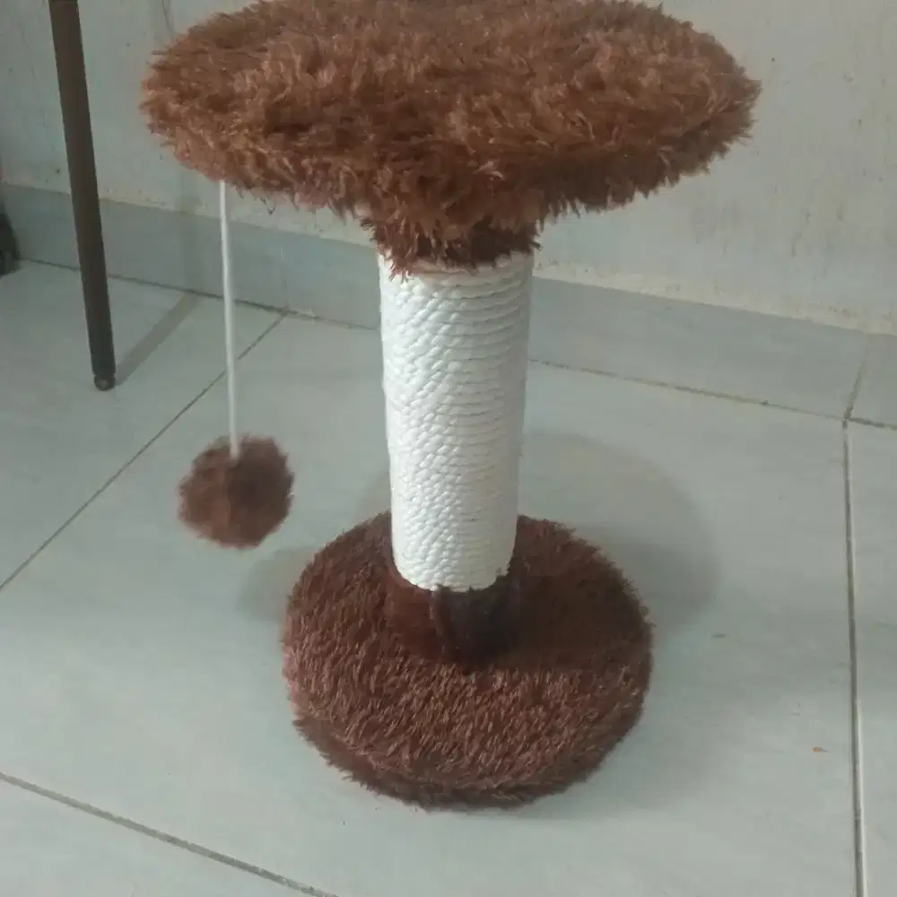 mainan garukan kucing