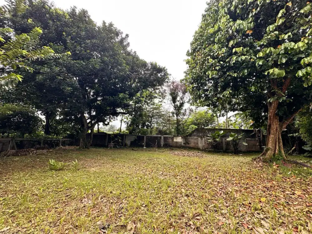 ANAH STRATEGIS – LIMO, CINERE