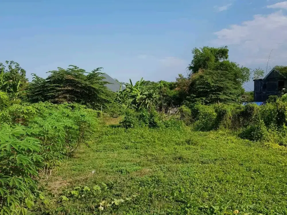 DIJUAL TANAH SUMBERSARI JABON SIDOARJO RON.A2085