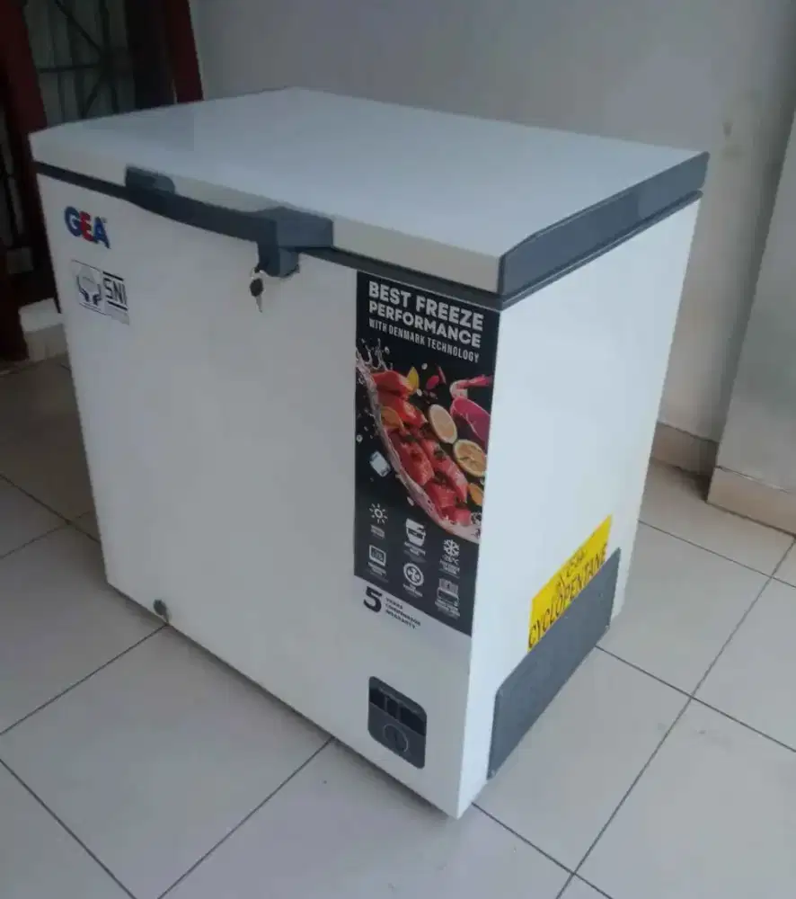 Di jual Frezeer Box Merek GEA(SECOND)