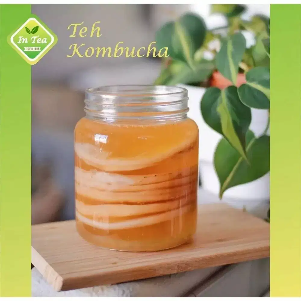 Skubi Kombucha (jamur teh)