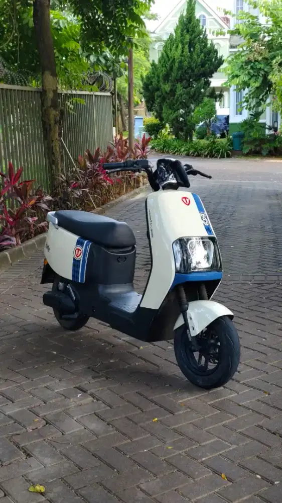 Motor Listrik Tailg GF51