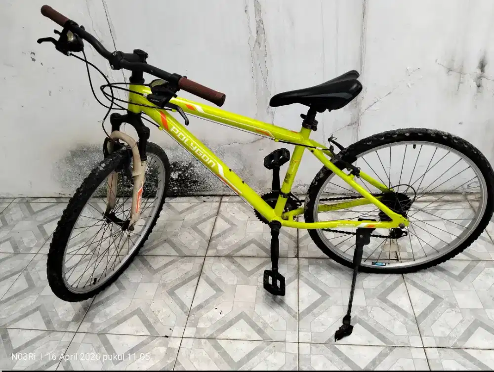 Sepeda polygon dewasa