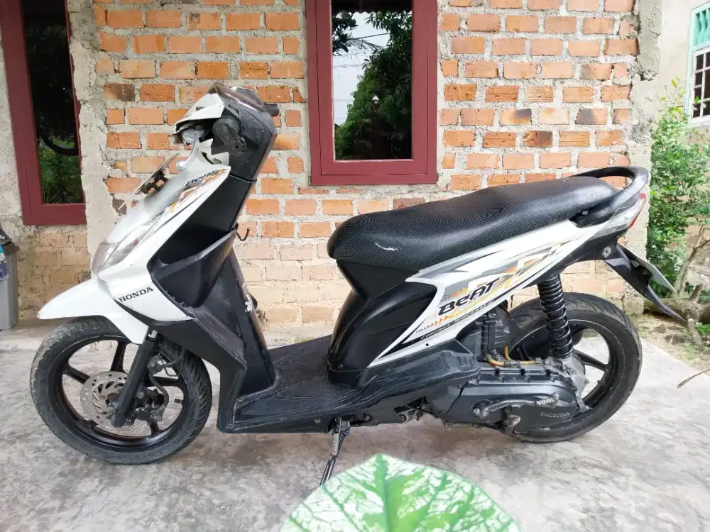 Beat karbu tahun 2012