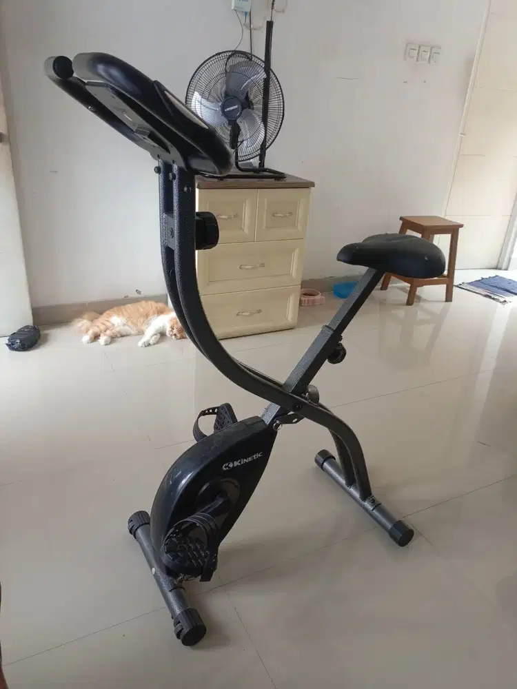 Sepeda statis merk Kinetic kondisi bekas masih Oke