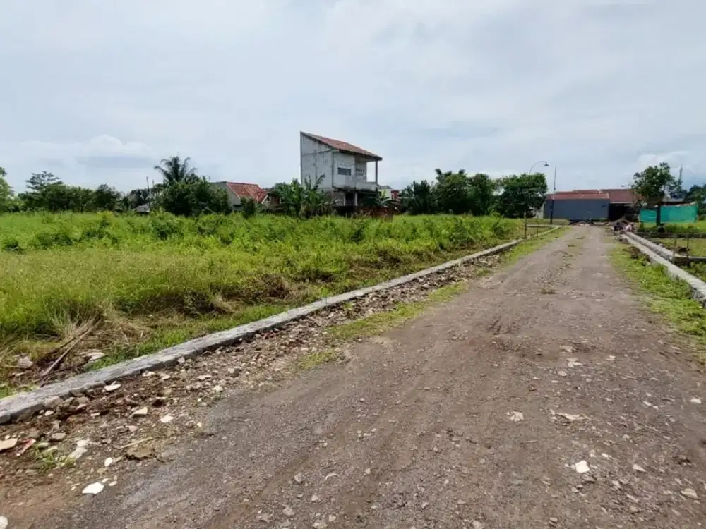 5 Menit Kampus IPB Dramaga - Tanah Kavling Dalam Perumahan - SHM 2 Jutaan/m